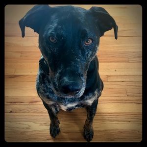 Meet your Posher, Nikki